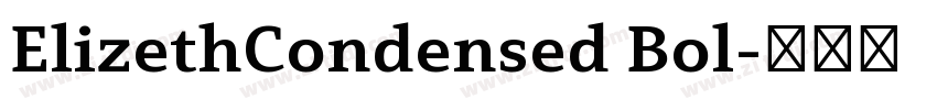 ElizethCondensed Bol字体转换